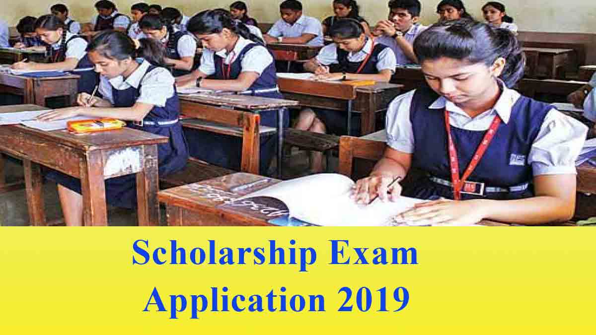 National Scholarship Exam (NSE – 2019) - Apply Now